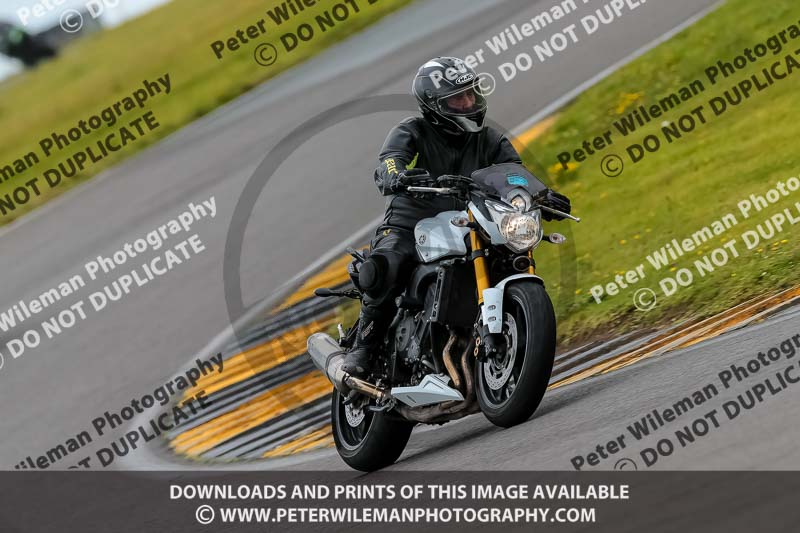 PJ Motorsport 2019;anglesey no limits trackday;anglesey photographs;anglesey trackday photographs;enduro digital images;event digital images;eventdigitalimages;no limits trackdays;peter wileman photography;racing digital images;trac mon;trackday digital images;trackday photos;ty croes